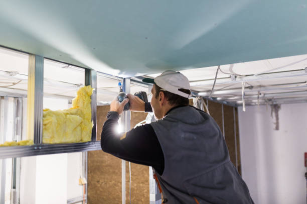 Best Geographic-Specific Insulation Services in White Oak, PA