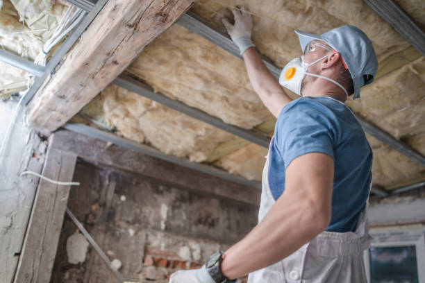 Best Eco-Friendly Insulation in White Oak, PA